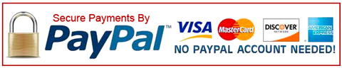 Secure Paypal payments